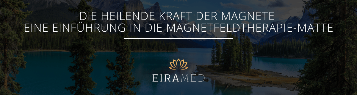 Die heilende Kraft der Magnete - Eine Einführung in die Magnetfeldtherapie-Matte - EIRAMED